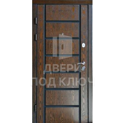 Однопольная элитная дверь парадная с двумя замками для загородного дома ДПК-11722